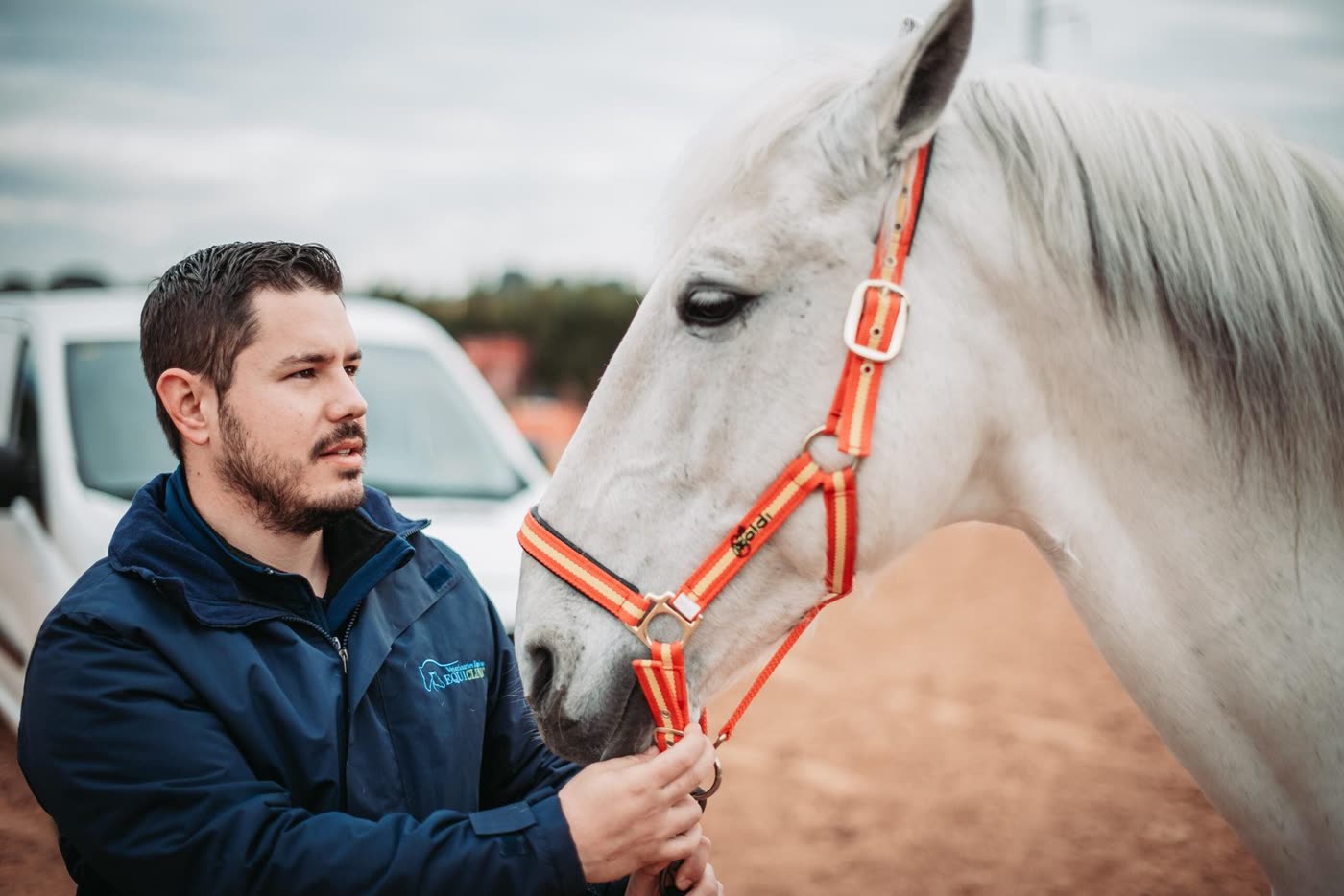 Veterinario de Equiclinic atendiendo a un caballo