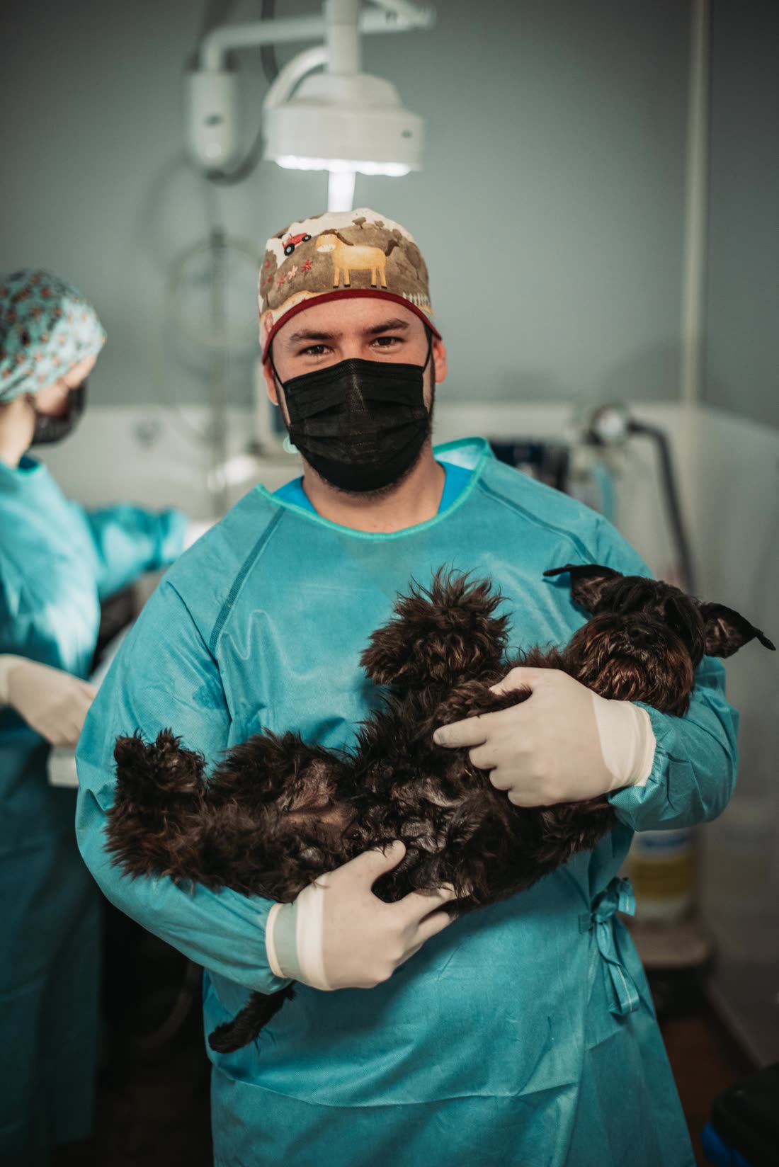Perro en la clínica de mascotas de Equiclinic